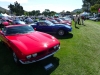 Iso Grifo and many other Isos