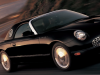 02-t-bird