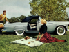 56-t-bird-4