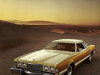 76-t-bird