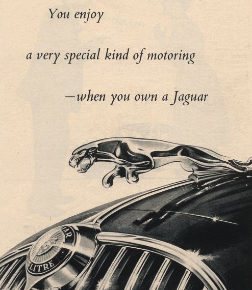 Jaguar advertisement
