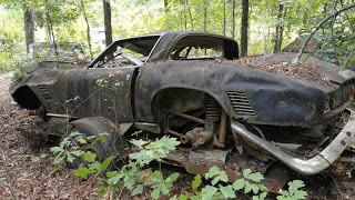 Iso Grifo forest find