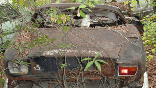 Iso Grifo forest find