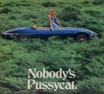 Jaguar XKE Advertisement