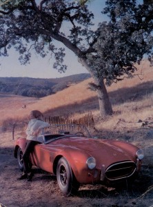 Shelby Cobra Postcard