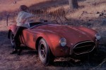 Shelby Cobra