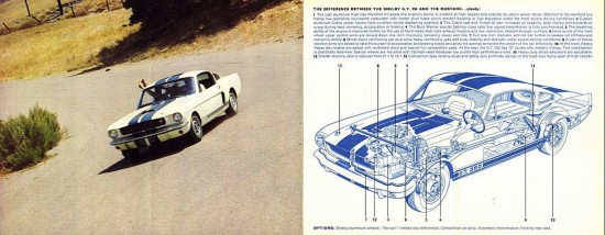 1966 Shelby GT350 brochure