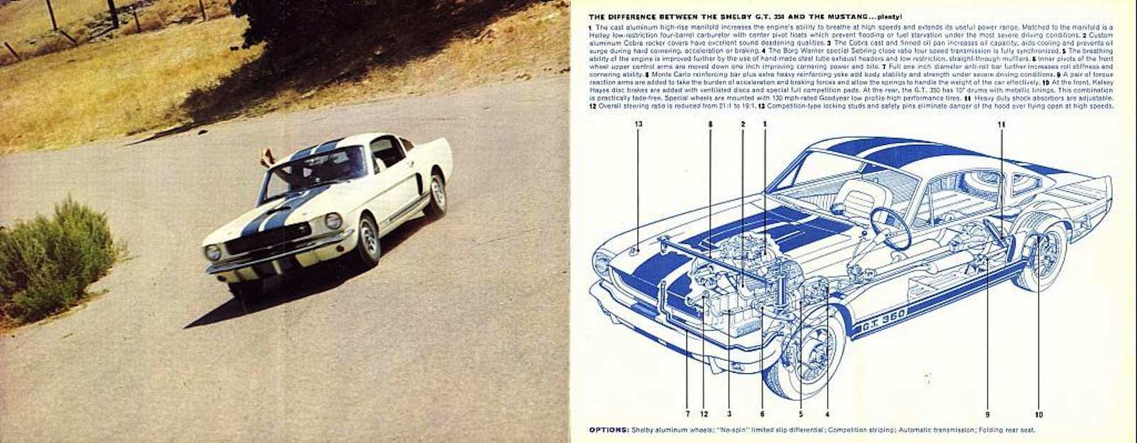 1965 FORD SHELBY GT 350 MUSTANG A3 POSTER AD SALES BROCHURE ADVERTISEMENT ADVERT