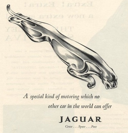 Editorial: Jaguar's Big Gamble