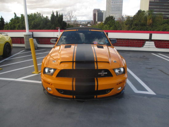 Shelby Ford Mustang