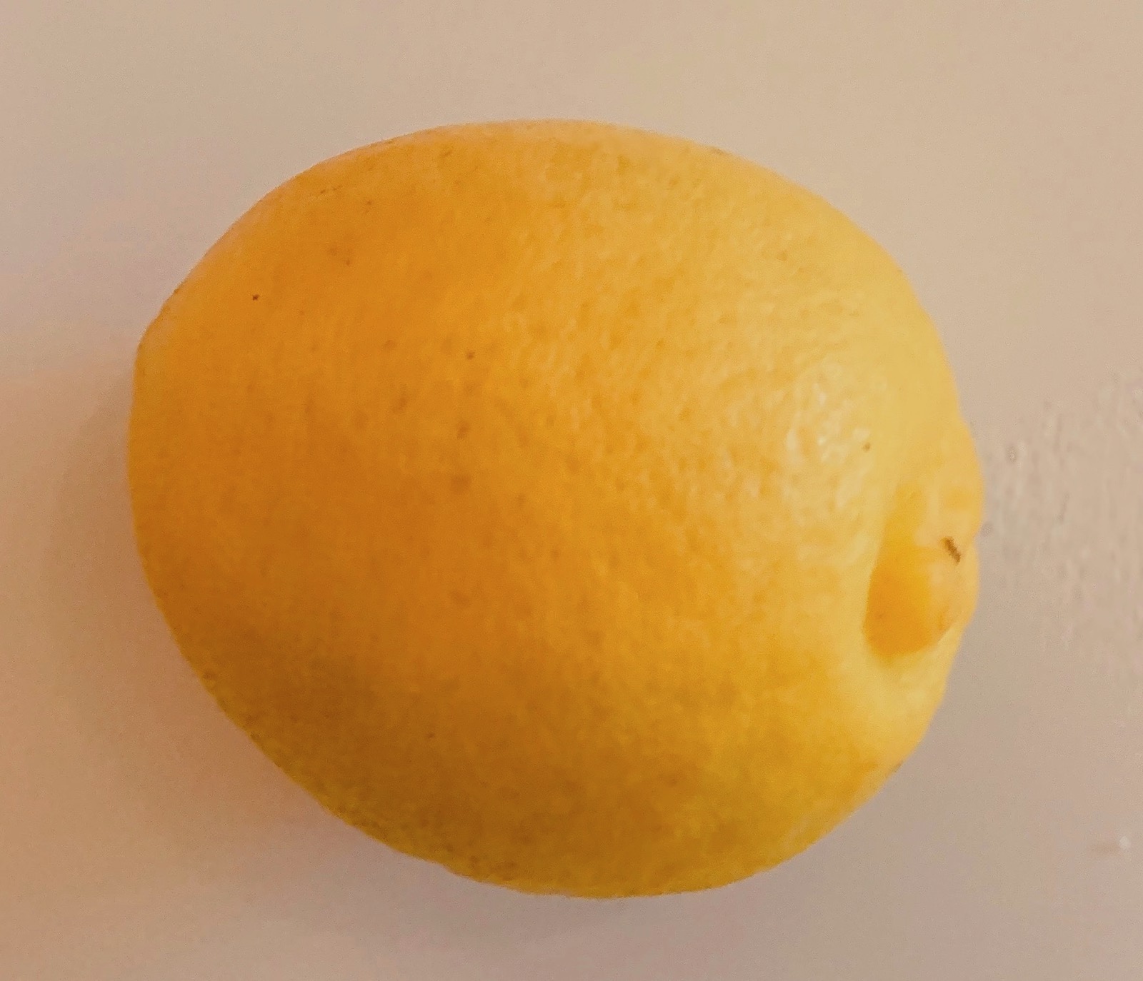 My Experience With The California Lemon Law