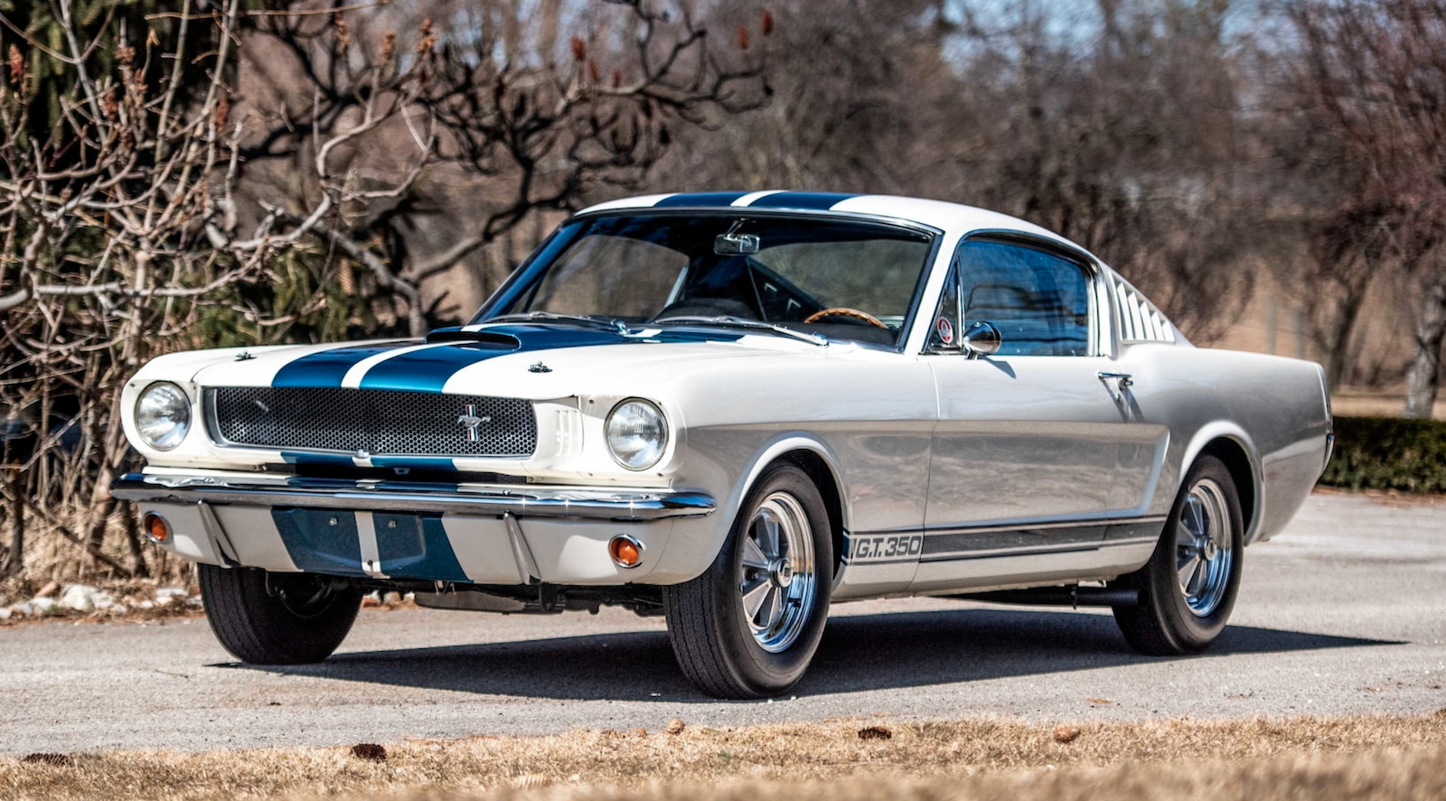 Car Of The Day - 1965 Shelby GT350 Mustang