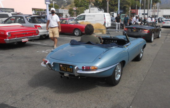 Jaguar at Malibu