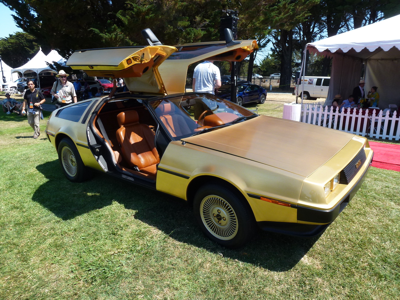 An Original Gold Plated DeLorean
