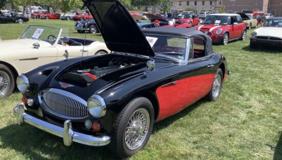 Austin Healey