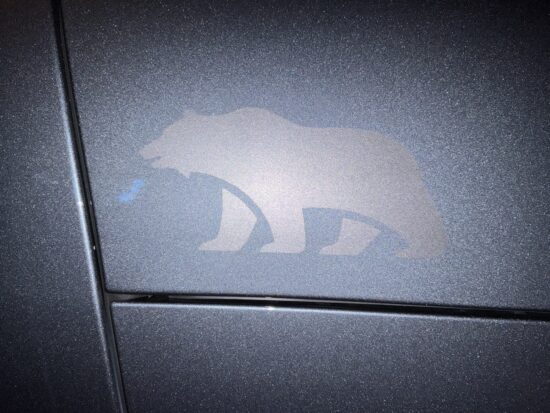 Lucid Bear Logo